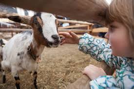 We've found the top mobile petting zoo entertainment professionals near you. Zoos Near Salisbury Nc Cloninger Ford