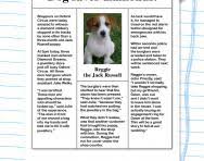 These differentiated newspaper template docs will support children when writing their own report, using appropriate newspaper language (ks2) and style. News Current Affairs For Kids Kids News Programmes Newspapers