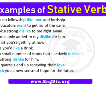 10 Examples of Stative Verbs in Sentences