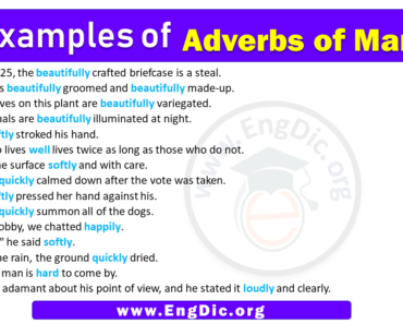 15 Examples of Adverbs of Manner in Sentences