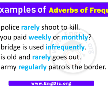 5 Examples of Adverbs of Frequency in Sentences