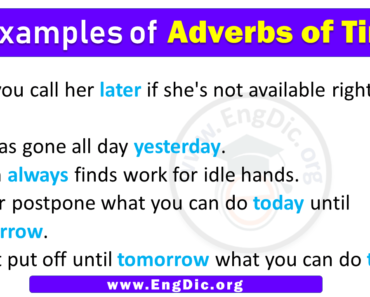 5 Examples of Adverbs of Time in Sentences