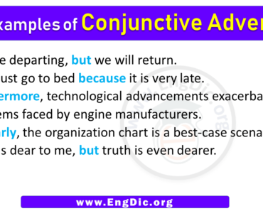 5 Examples of Conjunctive Adverbs in Sentences