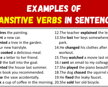 +50 Examples of Transitive Verbs in Sentences