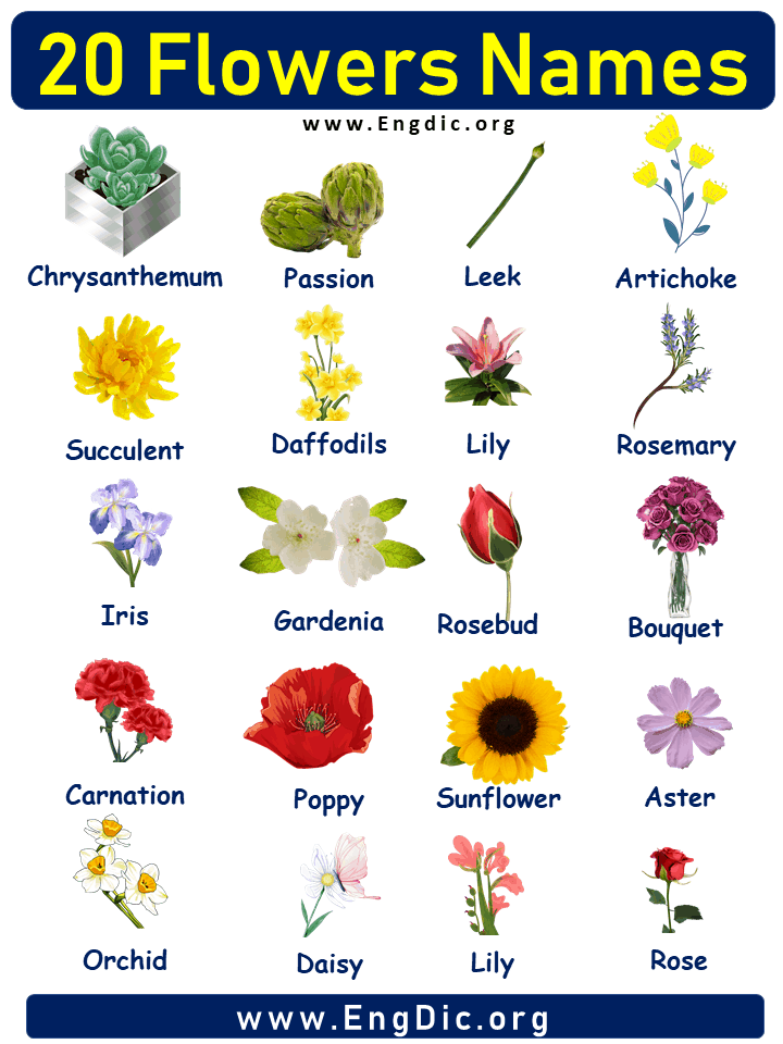 20 Flowers names with Pictures