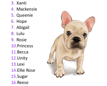 20 Unique Female Dog Names (With Cool Meanings)