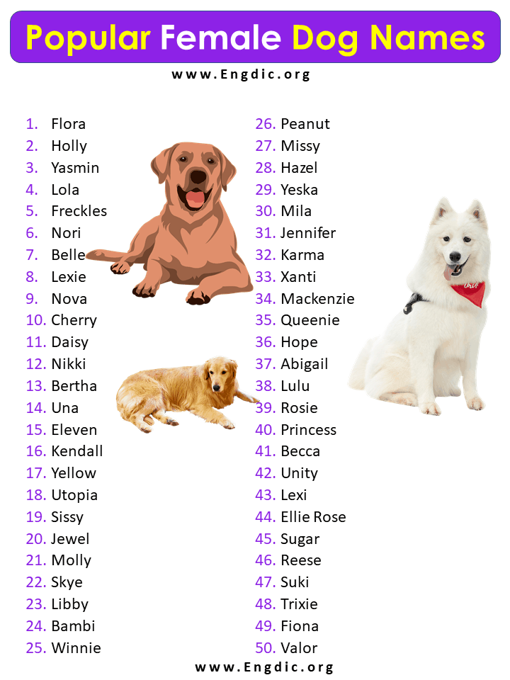 50 Most Popular Female Dog names