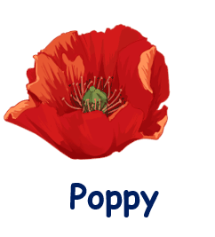 Poppy 20 flowers names