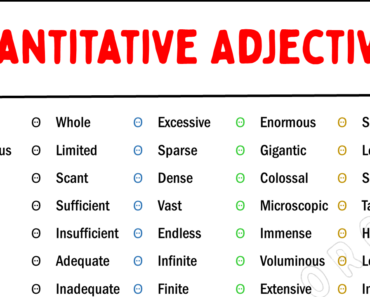 45+ List of Quantitative Adjectives in English