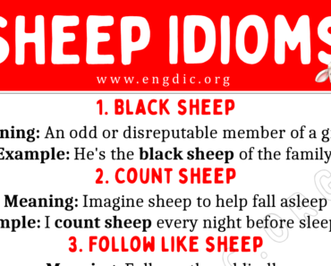 Sheep Idioms (With Meaning and Examples)