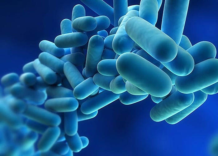 Image for the course: Best Practices for Legionella Mitigation – Part One