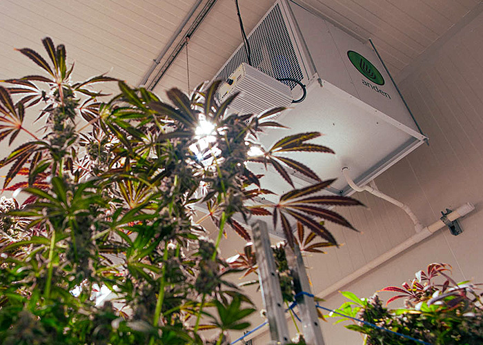 Image for the course: HVAC for Indoor Cannabis Grow Facilities