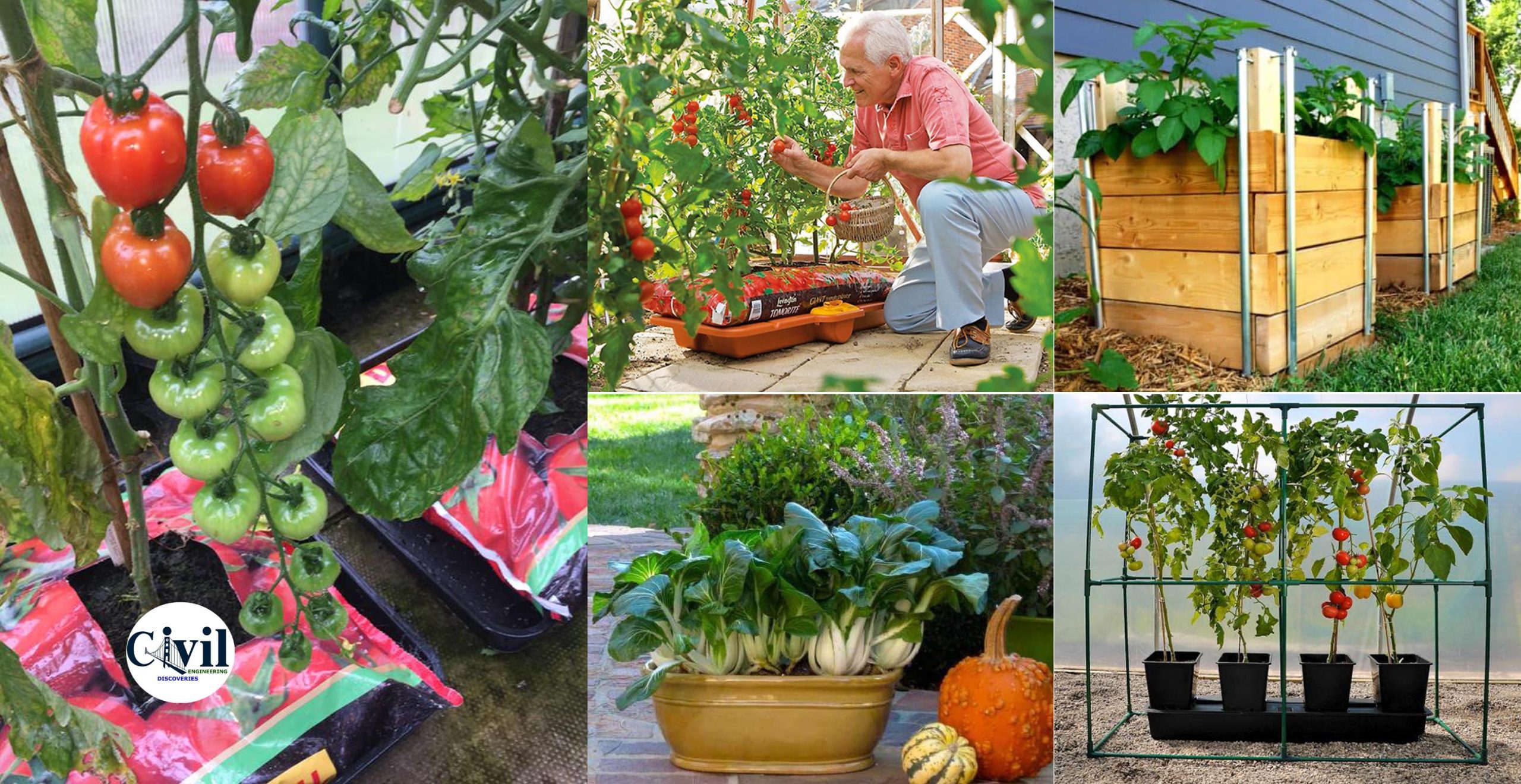 Vegetable Container Gardening Basics