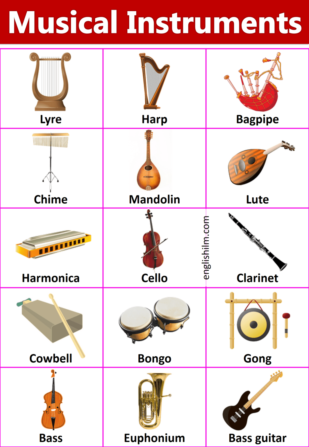 List Of Musical Instruments With Pictures at Pansy Hershberger blog