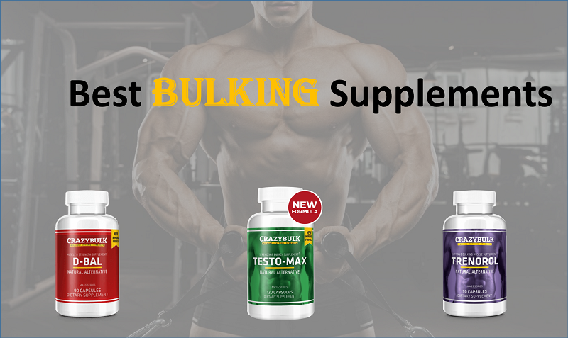 Best Muscle Building Supplement