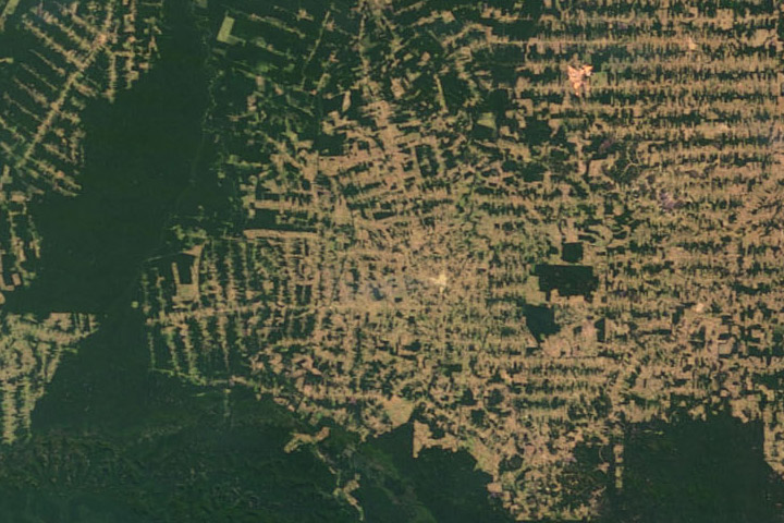 World Of Change Amazon Deforestation