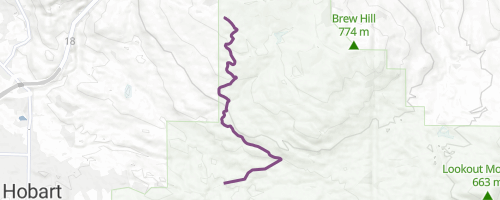 Webster Creek Road Multi Trail - Issaquah, Washington