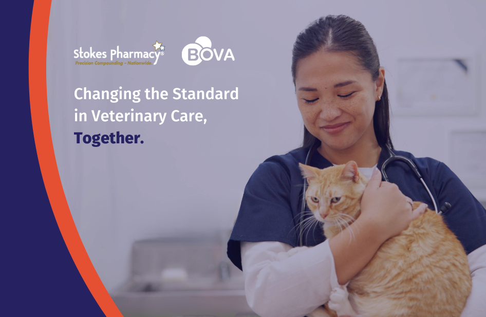 The Stokes & Bova Partnership: Transforming Veterinary Medicine