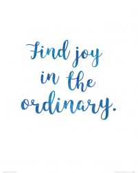 Find joy in the ordinary - plakat