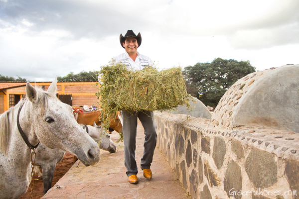 feeding the horses at Rancho Las Cascadas