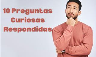 La Respuesta a 10 Preguntas Intrigantes y Curiosas