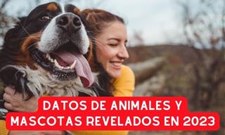 Nuevos y Asombrosos Datos Sobre Los Animales Revelados En 2023