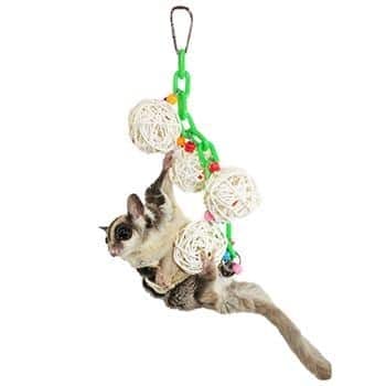 9 Best Sugar Glider Toys: Safe Options for Your Sugar Glider