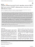 Cover page: Jagged1-mediated myeloid Notch1 signaling activates HSF1/Snail and controls NLRP3 inflammasome activation in liver inflammatory injury