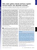 Cover page: Nitric oxide synthase domain interfaces regulate electron transfer and calmodulin activation