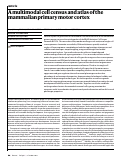 Cover page: A multimodal cell census and atlas of the mammalian primary motor cortex