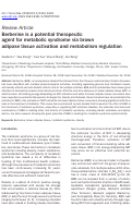 Cover page: Berberine is a potential therapeutic agent for metabolic syndrome via brown adipose tissue activation and metabolism regulation.
