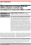 Cover page: Open architecture of archaea MCM and dsDNA complexes resolved using monodispersed streptavidin affinity CryoEM.