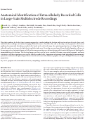 Cover page: Anatomical Identification of Extracellularly Recorded Cells in Large-Scale Multielectrode Recordings