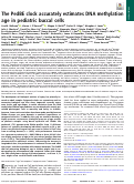 Cover page: The PedBE clock accurately estimates DNA methylation age in pediatric buccal cells.
