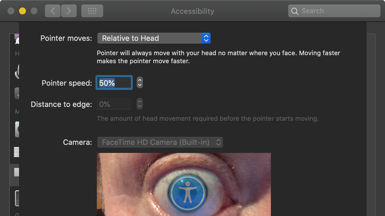 Eye with accessibility logo