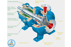 i-FRAME by Goulds an ANSI process pump with 5-year warranty - Visit ESI