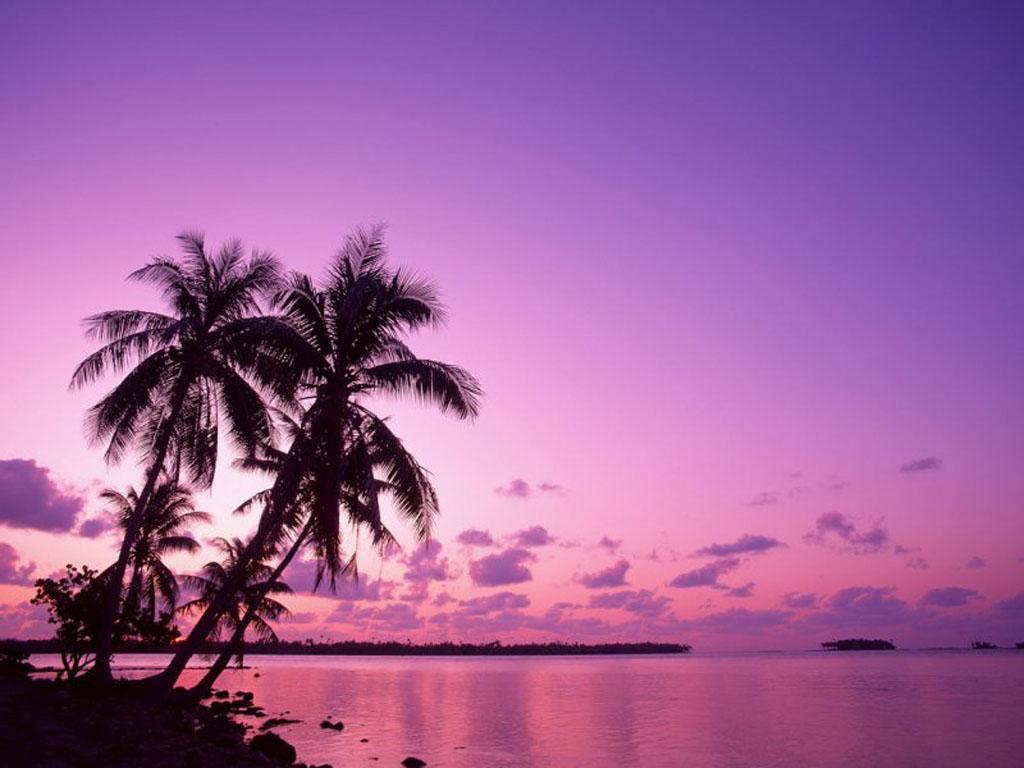 Purple Beach Sunset