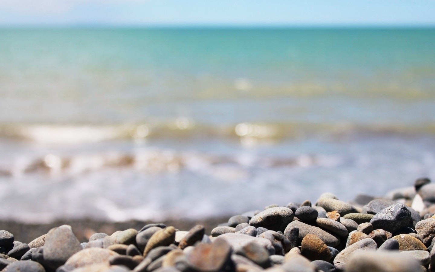 Download Macro Rocks on the Beach Wallpaper : Widescreen : 1152 x 720 | 1280 x 800 ...