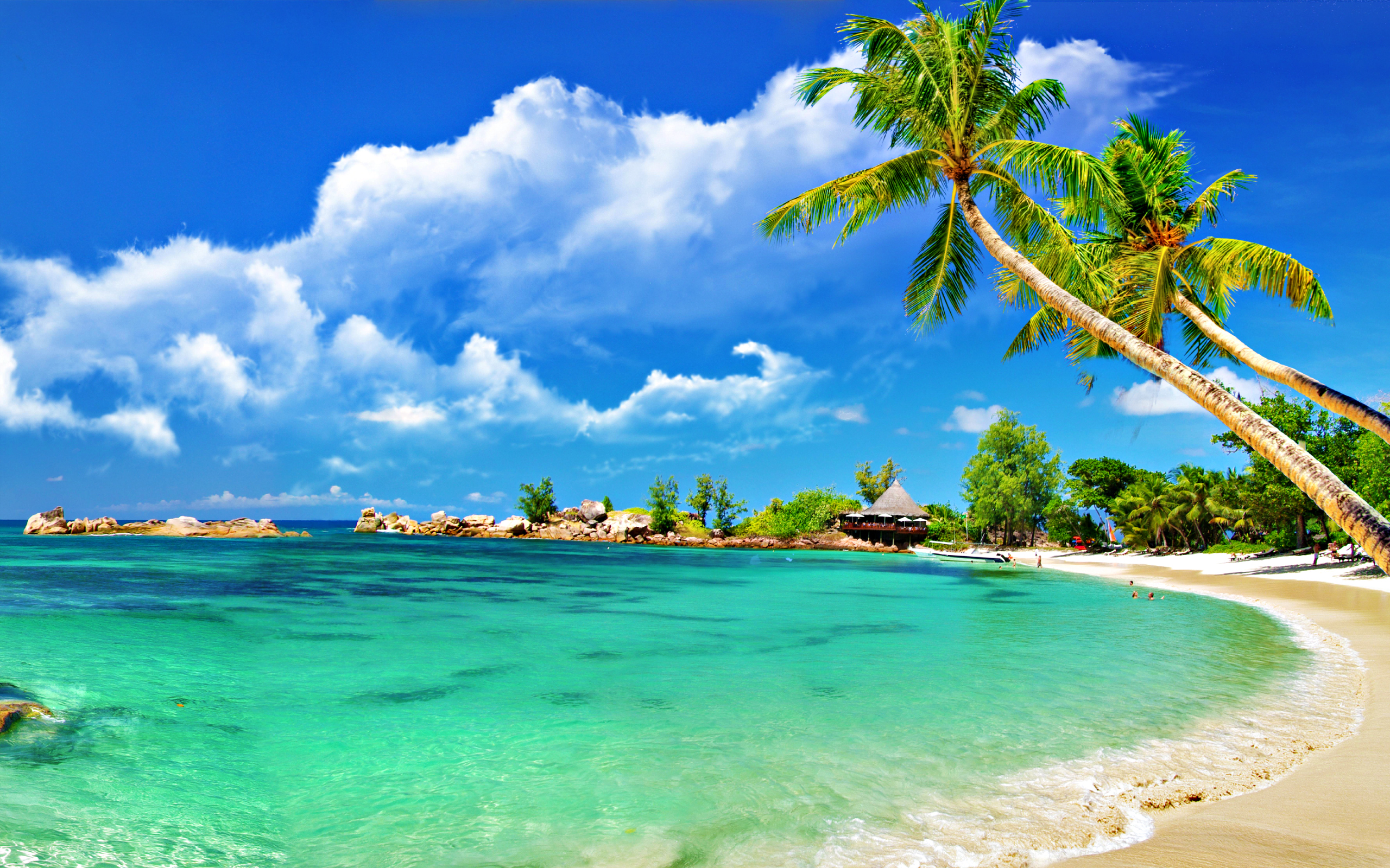 Summer Tropical Beach HD 1 47840 HD Images Wallpapers Wallpaper