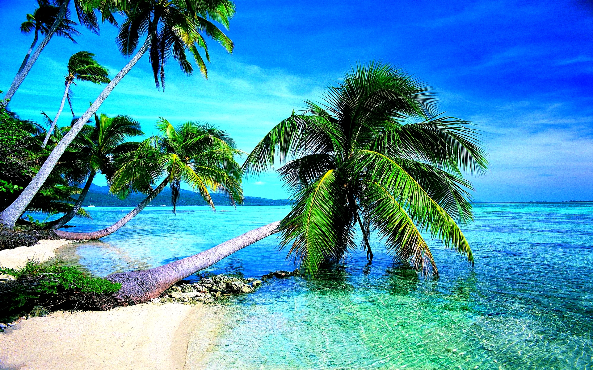 Refresh Your PC Screen Using Beach Wallpaper : Free Beach Screensavers and Wallpapers – Tropical Beach