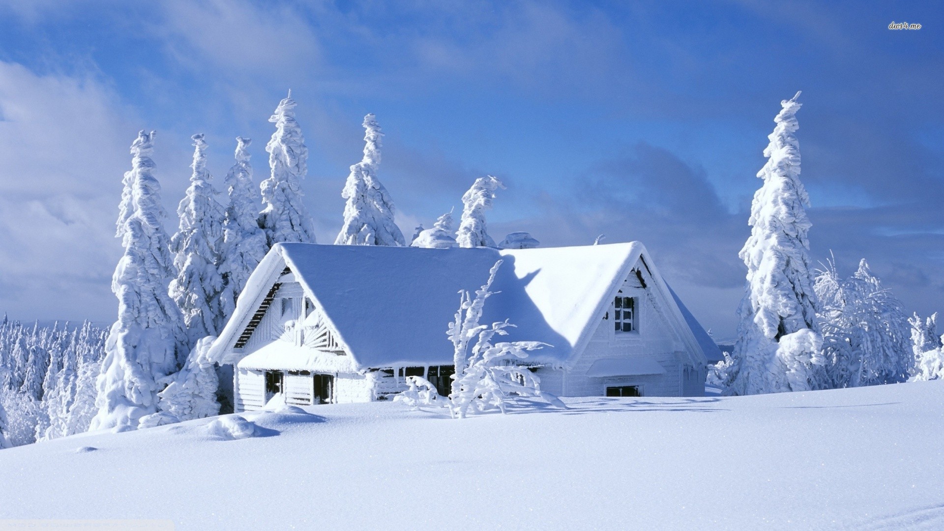 House covered in snow