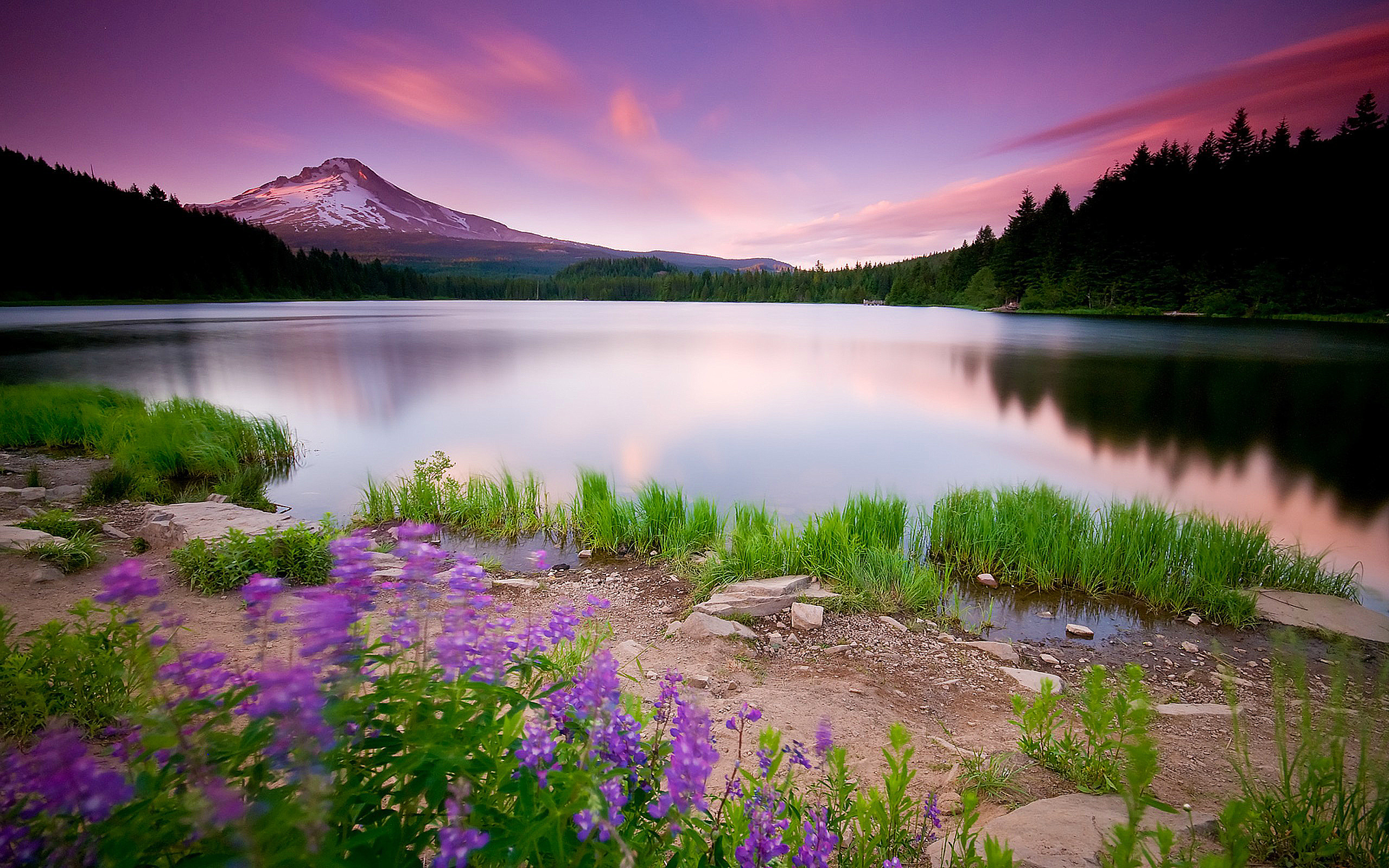 Landscape Photos Hd Background Wallpaper 26 | freehighresolutionimages.org