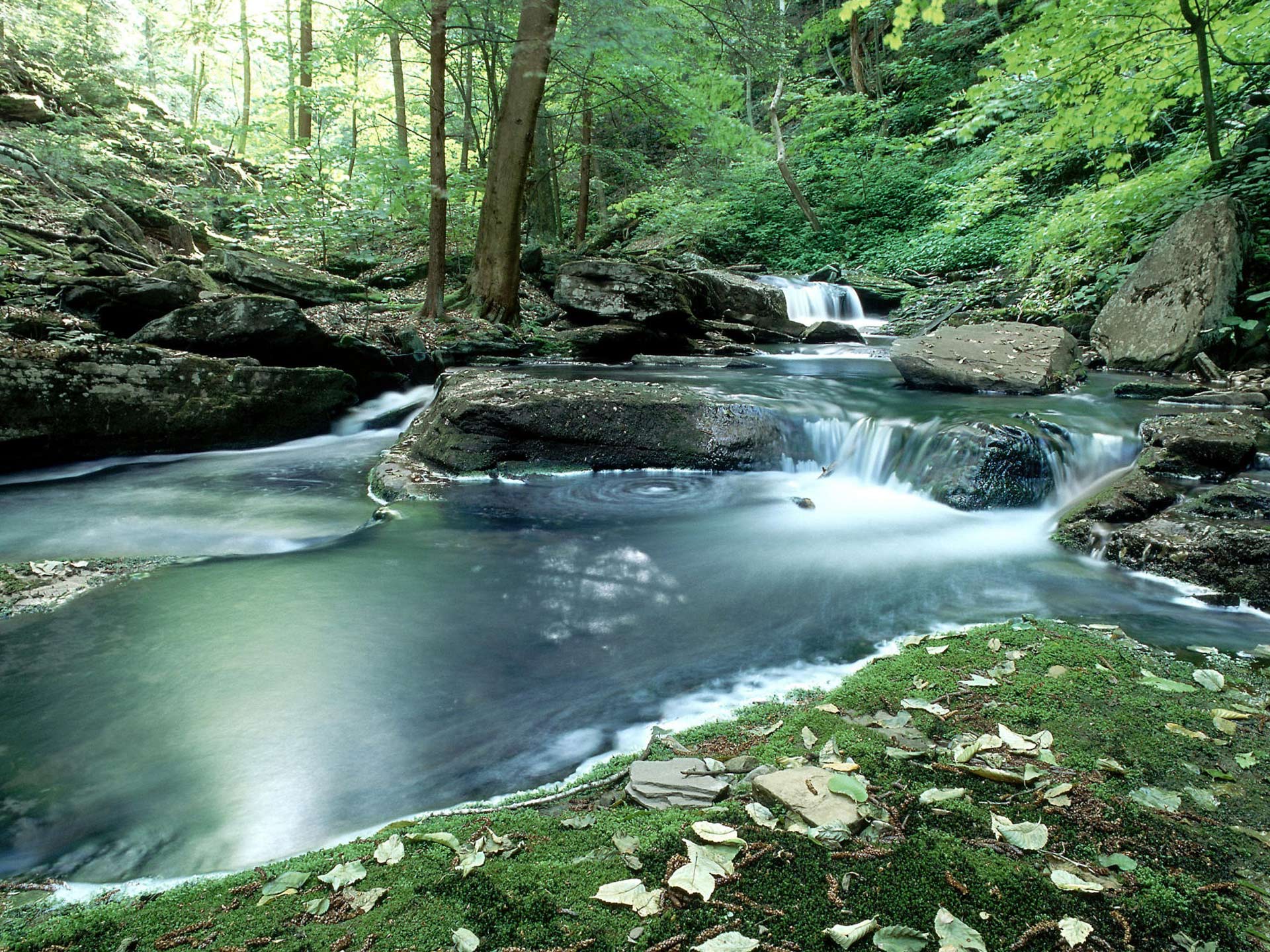 Desktop Wallpaper · Gallery · Nature Rapid mountain stream