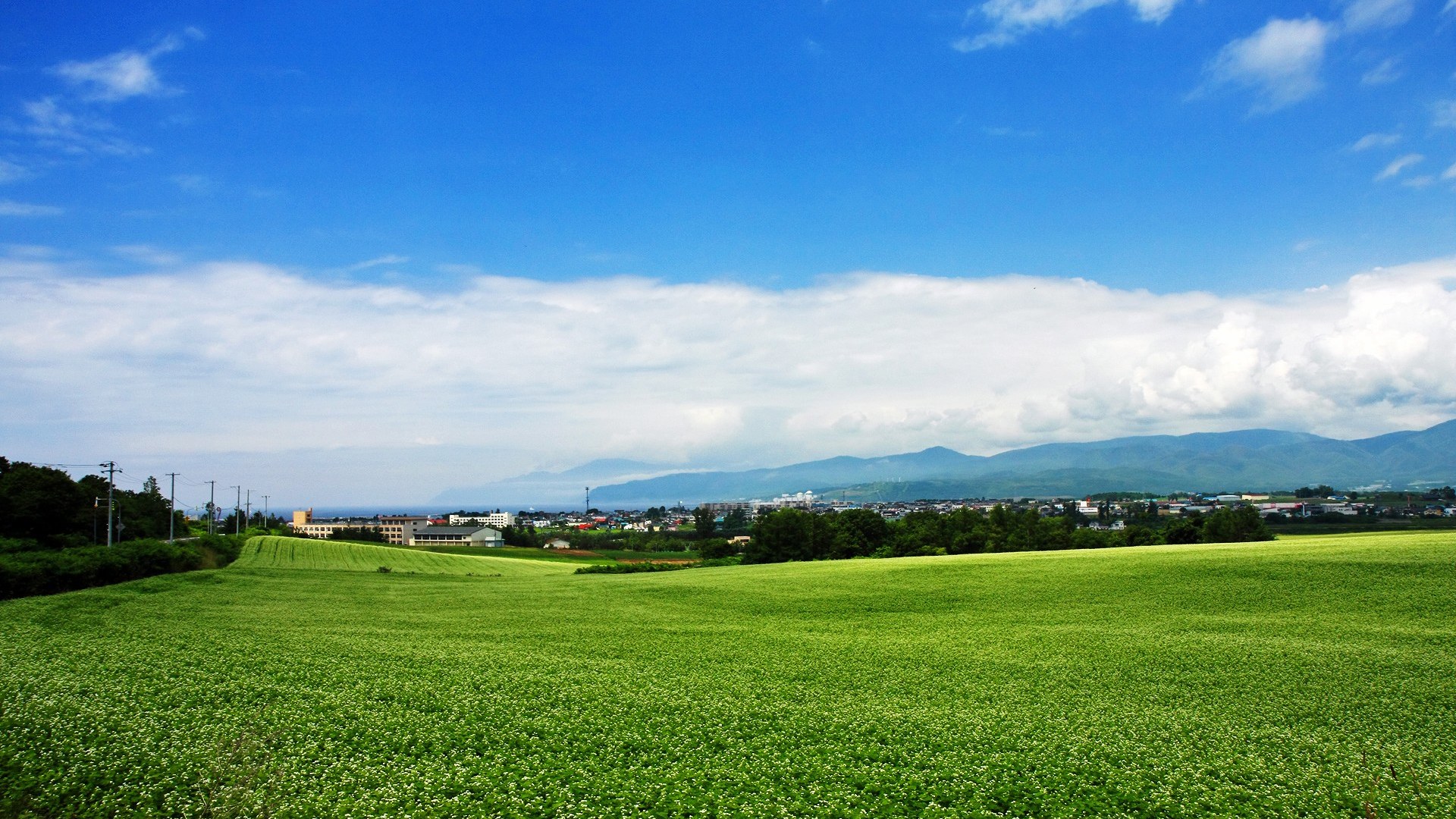 old.wallcoo.net/nature/Japan_Hokkaido_Furano...ido-Landscape-WUXGA_country_field_0687.html