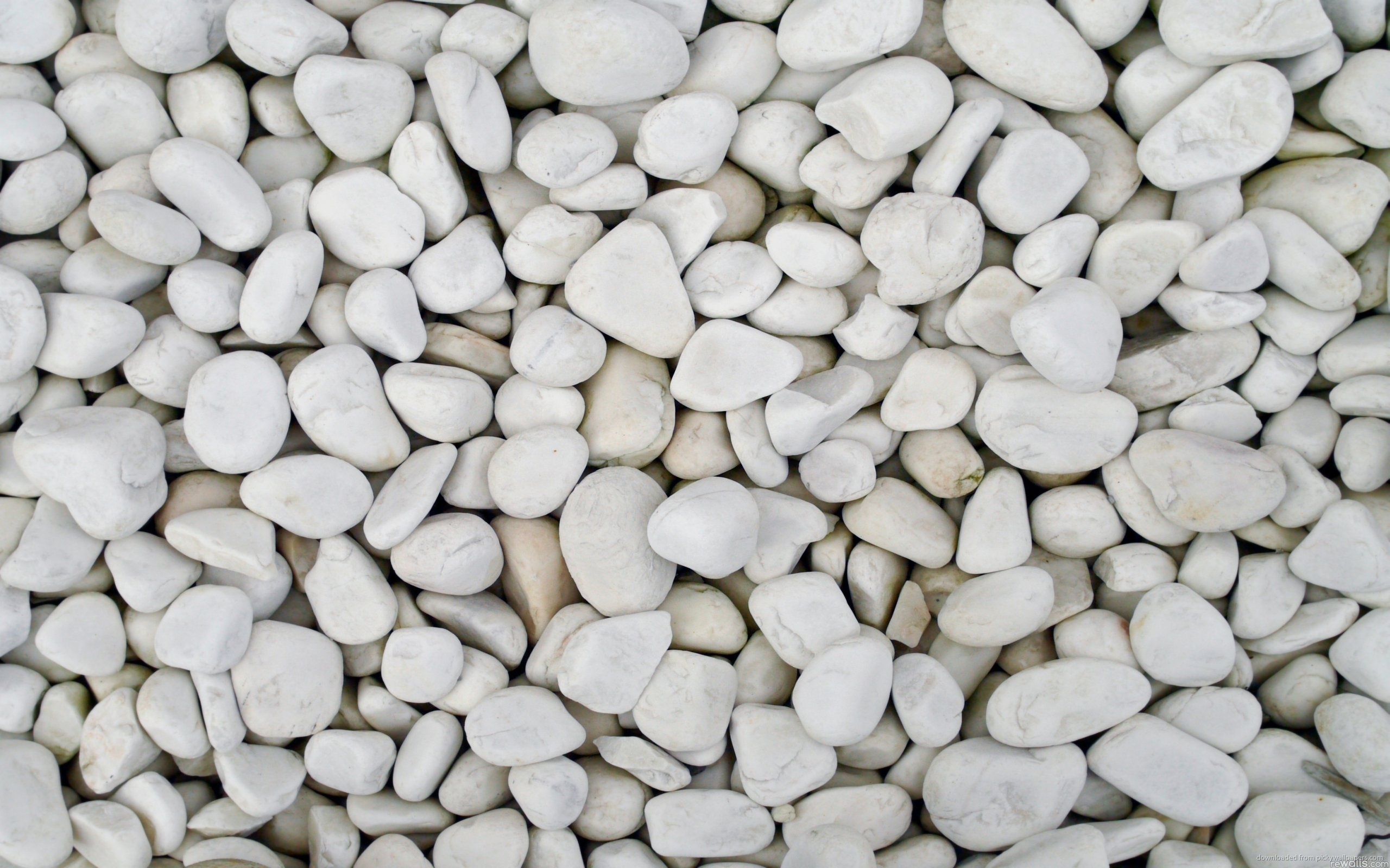 ... White Pebbles for 2560x1600