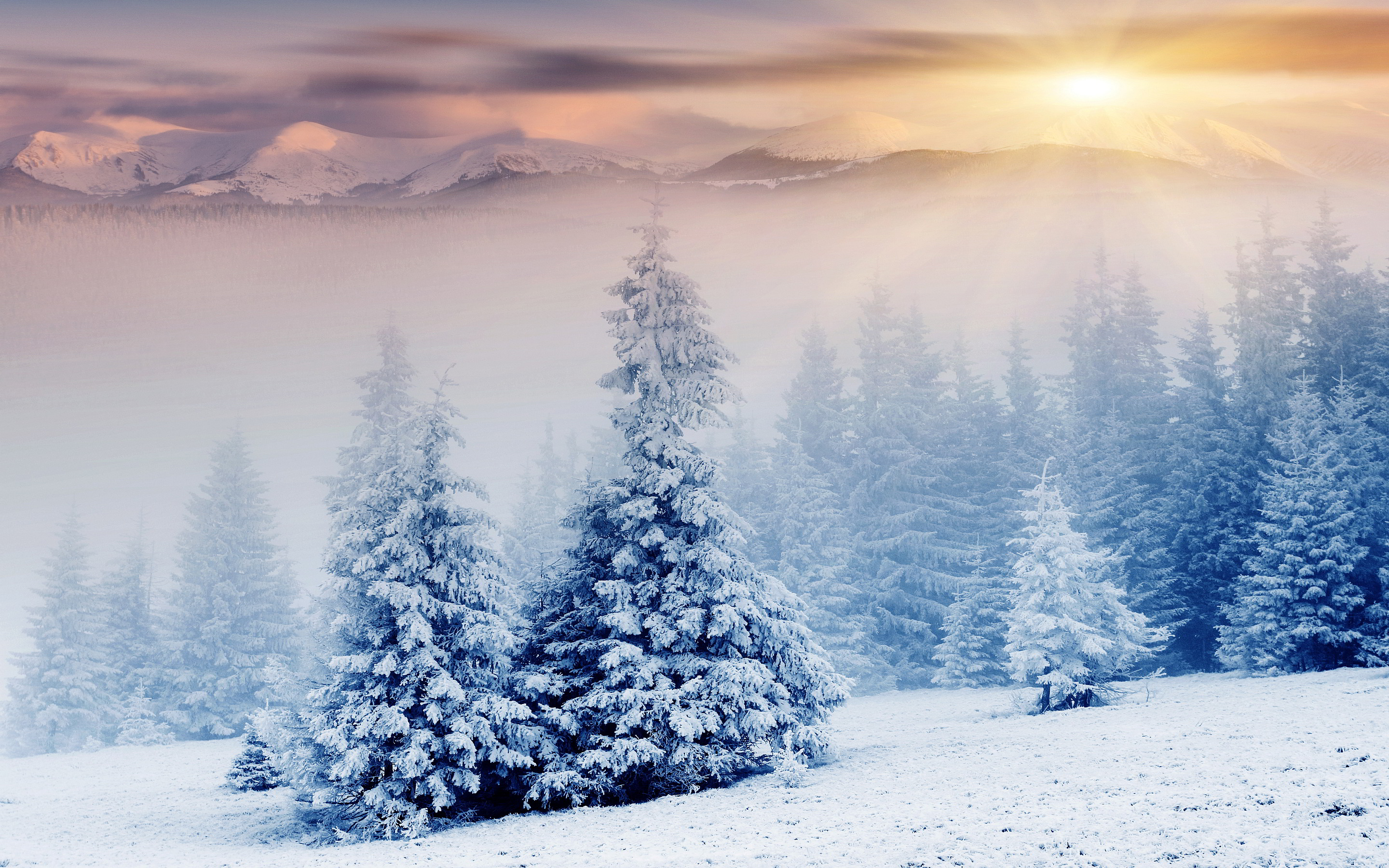 Sunset snow landscape