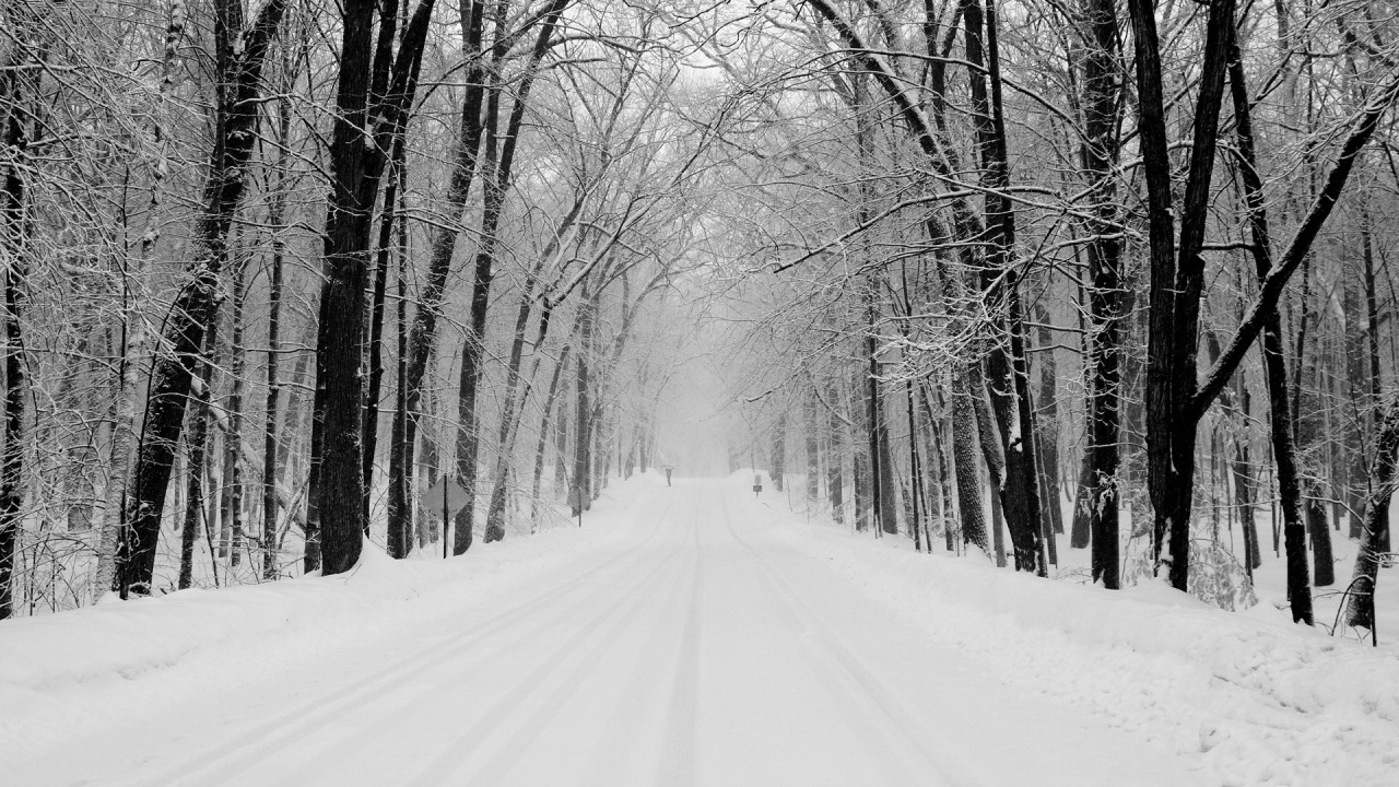 Snowy Road Wallpaper 15310