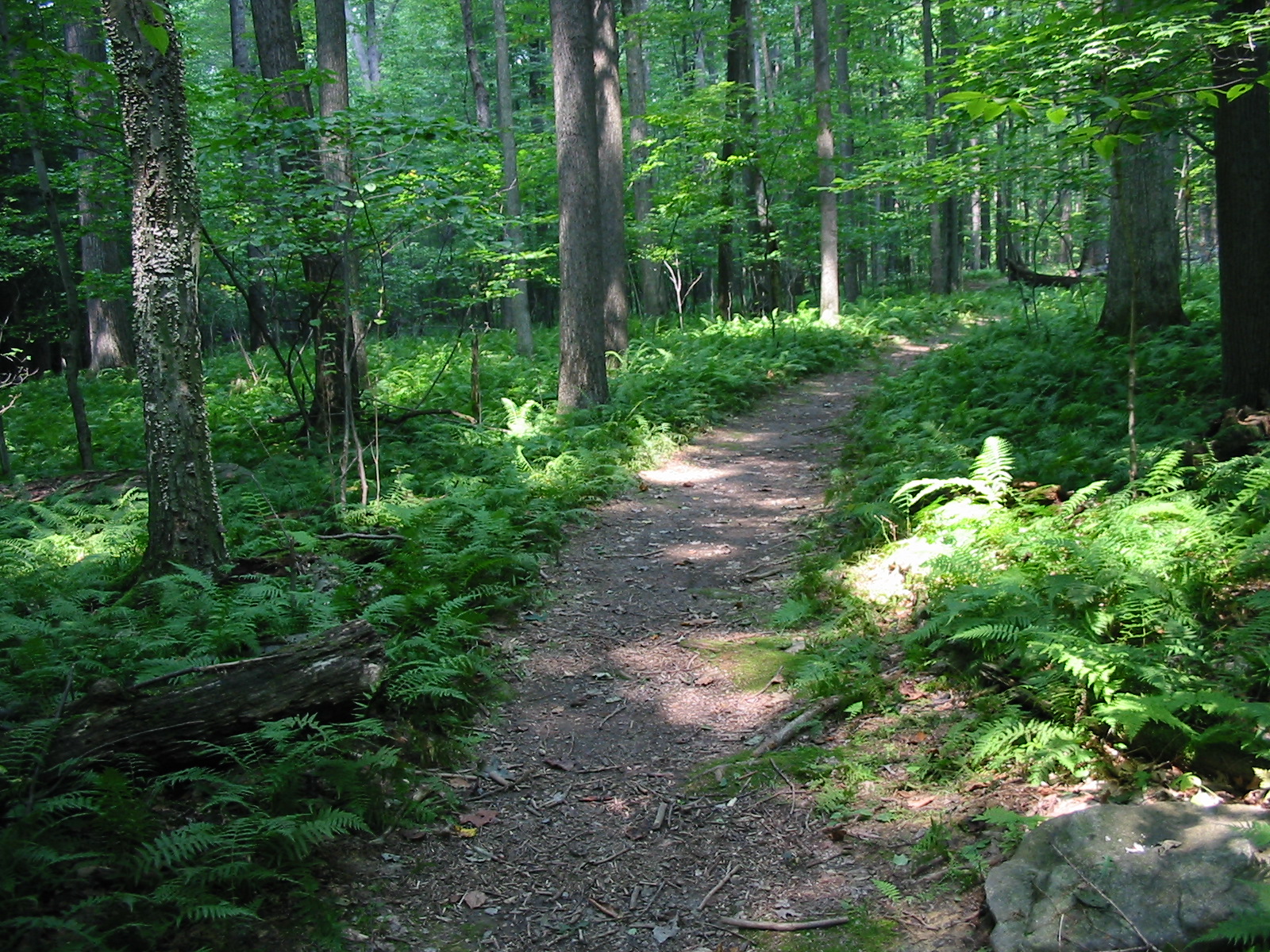 The Buckeye Trail is a 1,444 ...