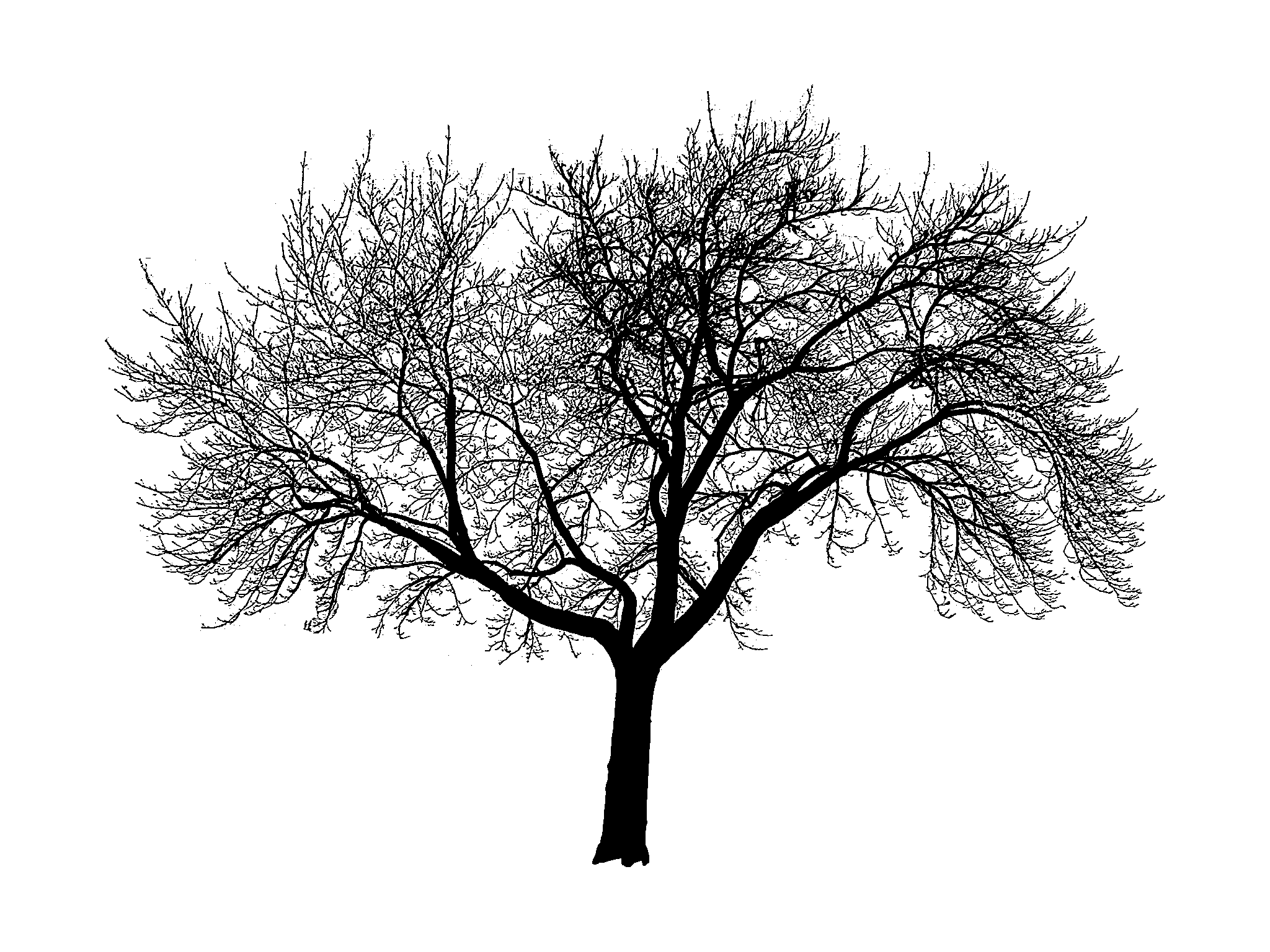 VizTree