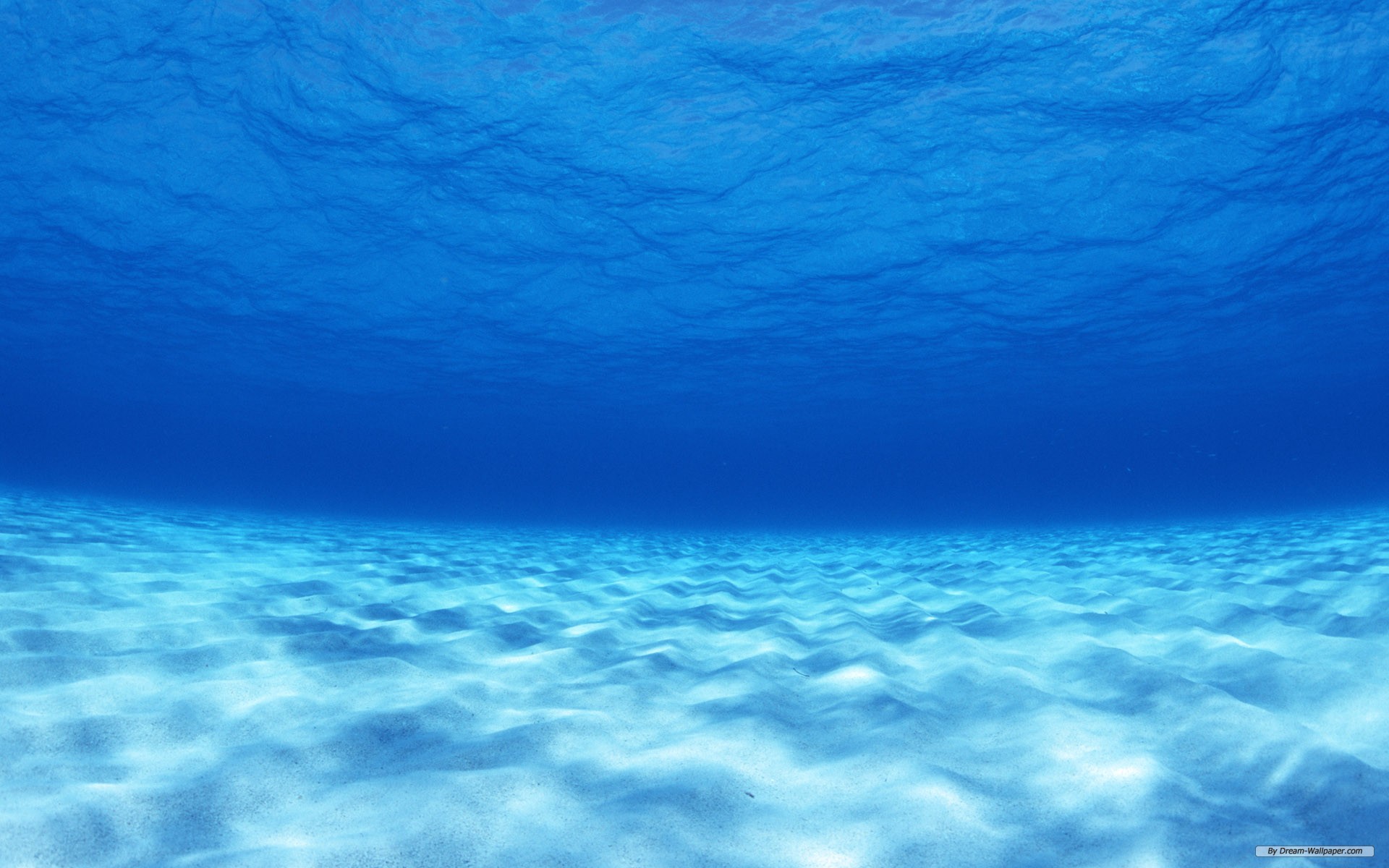 Blue Sea Background x k jpg